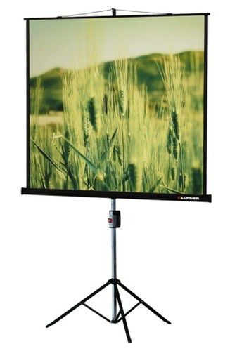 Экран для проектора Lumien Master View LMV-100102, 153х153 см, 1:1, напольный